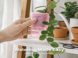 Self-Watering Square Seedling Pot with Adjustable Humidity Dome Semi-Transparent Pink Plastic V1341-ZY-SX33ZBRR-10PCS