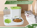 Automatic Pet Feeder 1 Piece Dog Cat Food Bowl Water Bowl Green V1258-DP02-BOL-554