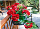 6Pcs Artificial Geraniums 14 Inch Lifelike Artificial Flowers with Adjustable Branches Long Lasting V1259-DP01-A-3227