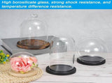 Glass Dome with Black Wooden Base - Clock Shaped Display Case - Home Decor - Desk Ornament V1258-DP02-BOL-433