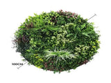 Slimline Artificial Green Wall Disc Art 100cm Colour Fresh UV Resistant V637-DP9866