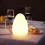 LED Cordless Lantern Lamp,Portable Outdoor Twill Lanterns Light with Remote, Rechargeable Bedroom V1192-AZ-W-16995