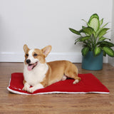 Christmas Theme Pet Cat Dog Bed Mat Pad Soft Warm Thick Kennel Cage Sofa Mat for Small Medium Large V1294-YM0716-10013892