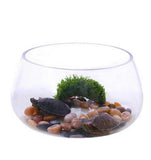 Round Clear Glass Fish Bowl Small Transparent Aquarium Tank for Desktop Fish Tank Landscaping and V1189-WXFWAL-20260326-01829
