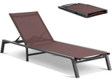 Chaise Lounge Chair Outdoor Patio Lounge Chair Adjustable 5-Position 2 pcs V952-JSTYGDTYZSKZ22E76V0