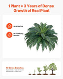 VEVOR 2Pcs Artificial Boston Ferns Plastic Fern 50 Branches Indoor Outdoor Decor V952-PZSRZJLZWBHHOUQQT001V0