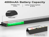 Picture Light Battery Operated, 16in Wireless Art Light for Paintings Color Temperature Adjustable V1171-CB-BPL-1-USB-RM