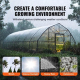 Greenhouse Plastic Sheeting 7.6 x 7.6 m, 6 Mil Thickness Clear Greenhouse Film, Polyethylene Film 4 V952-TMWSM2525YCTVR8ESV0