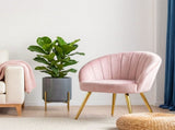 Artiss Armchair Velvet Pink Eloise UPHO-C-ARM-5107-PK