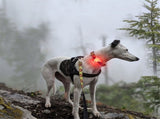 2pcs Rechargeable Collar Light - Carabiner Keychain Clip with LED Light - Clip Color-Changing Light V1192-AZ-W-0196