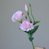 5PCS Artificial Silk Fake Eustoma Flowers Long Stem Lifelike Flowers for Wedding Party Home Decor V1294-YM0901-240821HL01-2