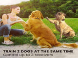 Dog Training Collar Range Dog Shock Collar with Remote for Small Medium Large Dogs Waterproof V1370-AZ4-00872