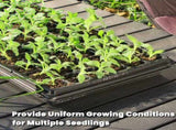 10 Pack 72 Cell Seed Starter Trays, 1.75" Deep Plug Tray for Seedlings, Thick Seedling Trays with V1258-DP02-C-238