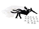 Decorative Spider Spook House Artificial Spider with Fake Cobweb for Party Halloween Festival V1294-YM0523-3115210210811