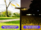 Solar Powered Pathway Lights with PET Laminated Monocrystalline Panel, NiMH Battery, and Black V1341-ZY-QWKSUGCK-8PCS-6000KCOOLWHITE