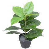 Artificial Potted Rubber Plant 55cm V77-1043058