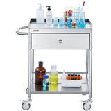 VEVOR Medical Cart, 2 Layer stainless Steel Cart100 kg Weight Capacity Utility Cart Silent Wheels V952-SYSSTCSB20124D3E4V0