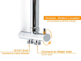 WELS Chrome 10" Round Rain Handheld Double Shower Head Arm Sliding Rail Wall Mixer Valve V1233-SS019CRSC842KSR110KRD201CR
