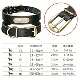 Premium Genuine Leather Dog Collar/Durable Real Leather Adjustable Collars For Male Female V1188-MS-430-1674-20