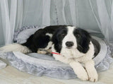 Princess Pet Bed with Bows Ruffled Lace Design Soft and Beautiful Dog Sofa Detachable Cushion V1370-AZ4-12857