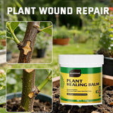 3Pack Tree Wound Sealer & Dressing, 150g Tree Pruning Sealer for Cut, Damaged Bark, Grafting V1107-119-84772-GRN-3PACK