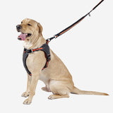 Pawfit Leash V188-PWFL3