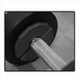2X Gym Micro-Plates Dumbbell Fractional Weight Plate Rubber Fractional Weight Plates Add-on Change V1366-AZ2-W-22057