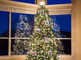 50 Pcs Metal Christmas Photo Frame Ornaments Bulk 2 x 3 Inch Heavy Duty Reusable Small Frame V1258-DP02-C-2293