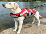 Dog Life Jacket Pet Swim Vest with Rescue Handle Reflective Strips Adjustable Quick Release Buckle V1341-ZY-KAUSYTNE-XL-ORANGE