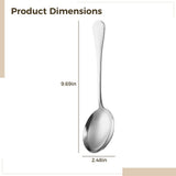 8PCS Large Serving Spoons, 9.7" x 2.5" Silver Stainless Steel Spoons for Buffet, Serving Spoons for V1369-AZ3-W-08572