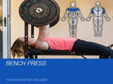 PROFLEX 7in1 Weight Bench Press Multi-Station Home Gym Leg Curl Equipment Set V219-FTNWTBHPFAB3C