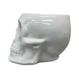 Urban Attitude Skull Statue - Matte White V398-UA-UT260603WHT