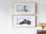 Set 2 Horse Framed Prints 56cm V637-20823