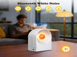Cute Capybara Night Light and White Noise Sound Machine with Bluetooth Functionality for Bedroom V1258-DP02-C-596