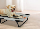 Pawz Pet Elevated Bed Dog Raised Trampoline Foldable Large L Size PT1279-L