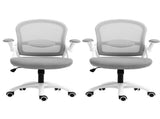 Artiss 2x Mesh Office Chair Computer Gaming Desk Chairs Work Study Mid Back Grey OCHAIR-G-2013-WH-GYX2