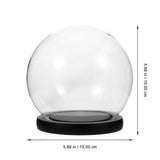 Decorative Glass Dome Cover with Preserved Flower - Home Decor V1192-AZ-W-30342