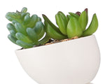 4Pcs Artificial Succulent Plant Cute Ceramic Faux Succulent Flower Pot Decoration Set for Office V1294-YM0901-3115240013111