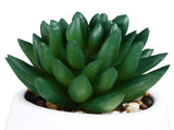 3pcs Simulated Succulent Pot Ceramic Creative Realistic Artificial Succulent Pot for Desktop V1294-YM0901-3115240022411