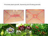Plant Lamp LED Succulent Fill Light 50W Full Spectrum Plant Grow Light Quantum Plate V1294-YM0901-L6913UK-1