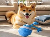Interactive Smart Pet Puppy Ball with Ropes, Vibrating Squeaky Electric Balls for Dogs with Jumping V1366-AZ2-W-11554