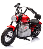 Single Rider Cruiser Bike 36V V377-364647