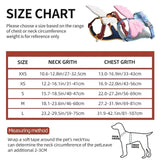 3D Angel and Devil Wing Harness and Leash Set for Cats and Dogs, Escape-Proof No-Pull Walking Vest V1341-ZY-HTPSQ2DB-BLUEHARNESSLEASHSET-L
