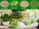 Petluno 4 pieces seedling pots with lids, 16 cm seedling pot BPA-free healthy hydroponic growing pot V1259-DP01-A-1646