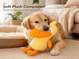 Bird Plush Dog Toy, Crinkle Squeaky Dog Plush Toys Stuffy for Interactive Play, Builtin Squeaker V1366-AZ2-W-24841