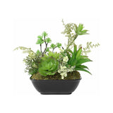 Set 2 Asst Potted Artificial Succulents 19cm V637-05059SUC