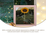 Wooden Canvas Frames 3 Sets for Photo Display, Art Projects, and Crafting V1369-AZ3-W-20834