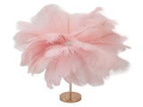 Feather Table Lamp 3 Color Dimmable Touch Switch USB Plug in Romantic Modern Decorative Bedside V1294-YM0521-3119230059413
