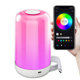 LED Night Light 7 Color Changing Smart Touch Control Bedside Table Lamp BT Remote Control 3600mAh V1294-YM0901-HS7008