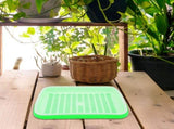 Durable Plastic Sprout Trays Safe Reliable Easy to Use for Home 1Set V1369-AZ3-W-18192